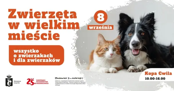 Piknik rodzinny | Zwierzęta w wielkim mieście