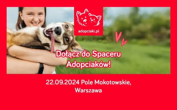 Spacer Adopciaków 2024