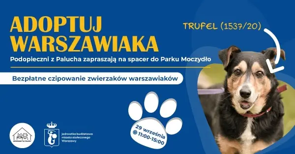 ADOPTUJ WARSZAWIAKA