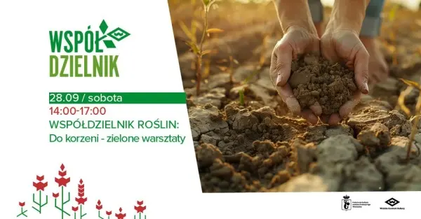 Współdzielnik roślin: Do korzeni | Zielone warsztaty