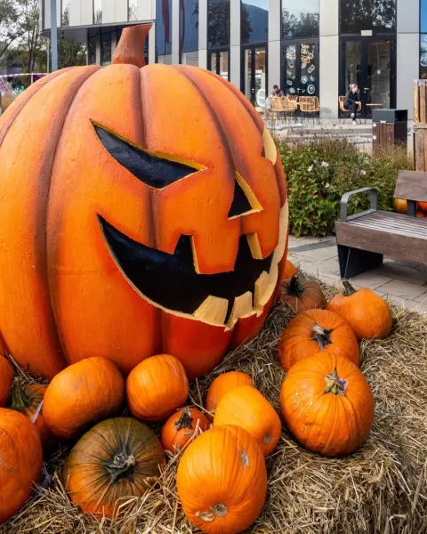 BEZPŁATNA Farma Halloween