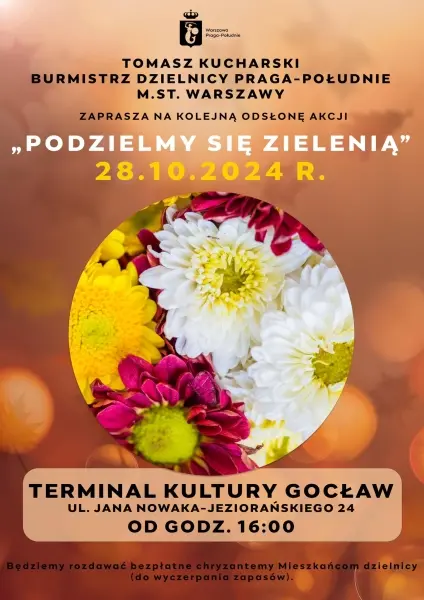 Podzielmy się zielenią - bezpłatne chryzantemy carnaval