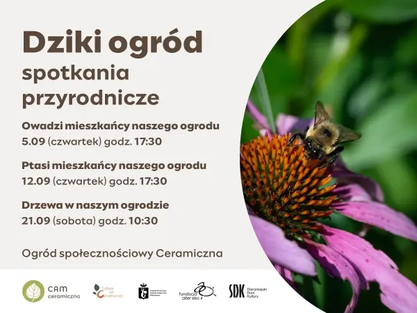 Zielono na Ceramicznej