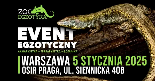 ZooEgzotyka 