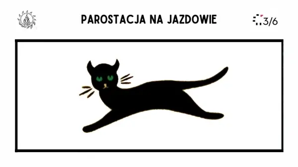 Kocia Yoga - jakości kociej świadomości