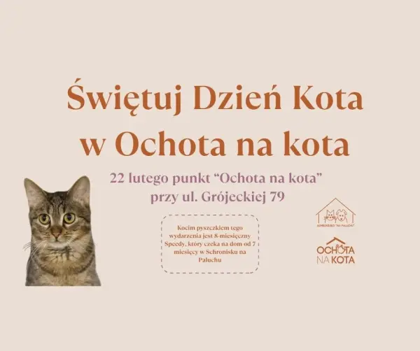 Dzień kota w Ochota na Kota