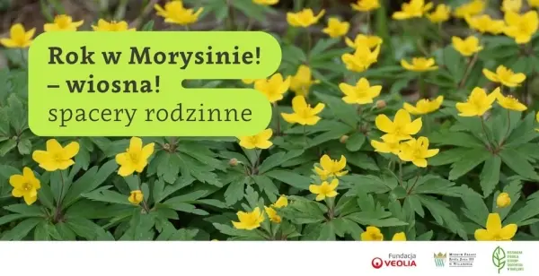 Rok w Morysinie! | spacery rodzinne