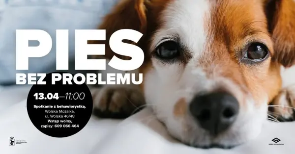 Pies bez problemu - spotkanie z behawiorystką