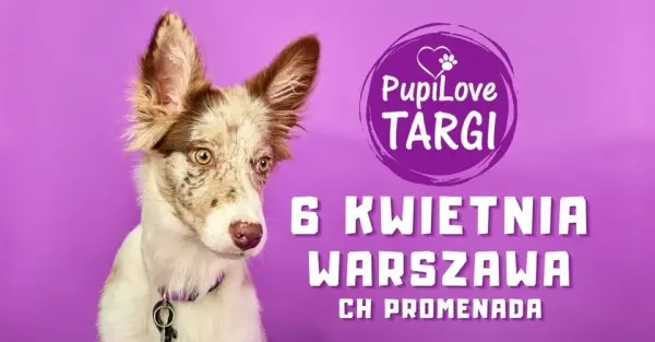 PupiLove Targi