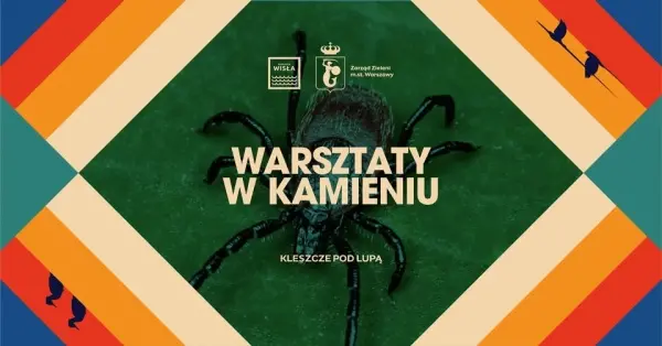 Warsztaty #wKamieniu | Kleszcze pod lupą - biologia i zagrożenia