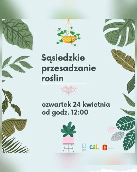 Sąsiedzkie przesadzanie roślin