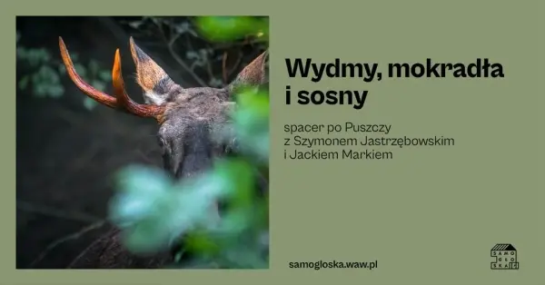 Wydmy, mokradła i sosny. Spacer po Puszczy z Szymonem Jastrzębowskim i Jackiem Markiem