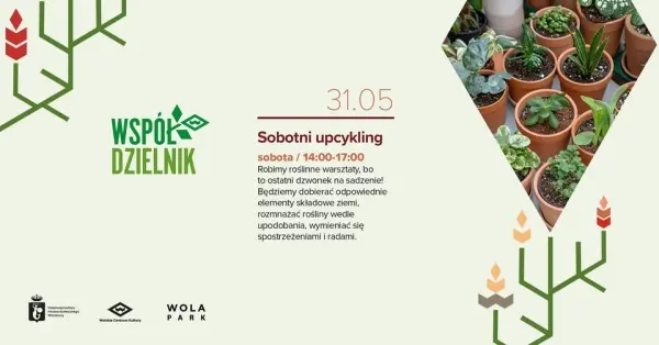 Sobotni Upcykling: Nie przesadzajmy, przesadźmy!