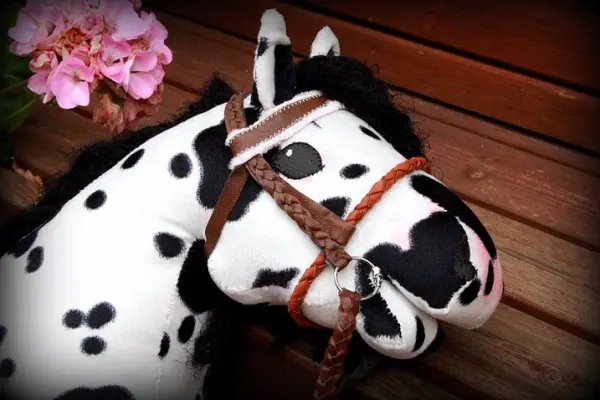 Hobby horse w Łazienkach Królewskich | Konkurs skoków przez przeszkody dla dzieci i młodzieży