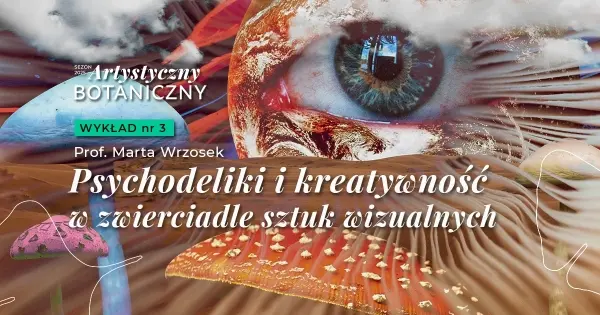 Psychodeliki i kreatywność w zwierciadle sztuk wizualnych | Prof. Marta Wrzosek