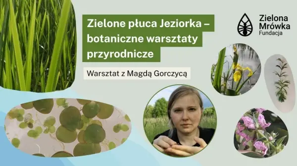 Zielone płuca Jeziorka - botaniczne warsztaty przyrodnicze