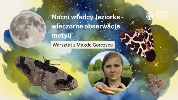 Nocni władcy Jeziorka - wieczorne obserwacje motyli z Magdą Gorczycą 