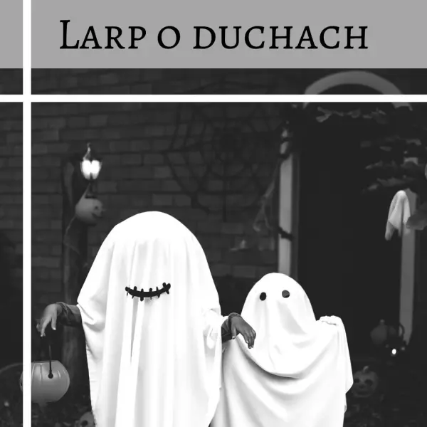 Larp o Duchach - Darmowe larpy na Kolorowej w wakacje | Facebook