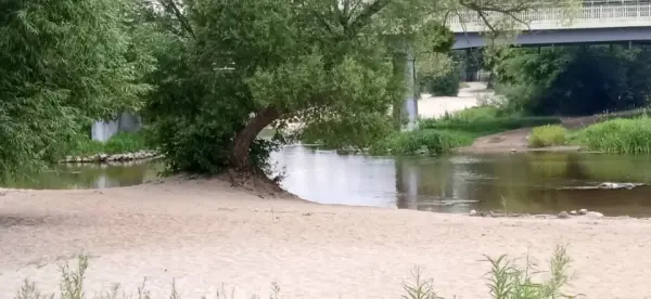 Ścieżka w koronach drzew, czyli z wizytą w parku "Doliny Wkry" w Pomiechówku
