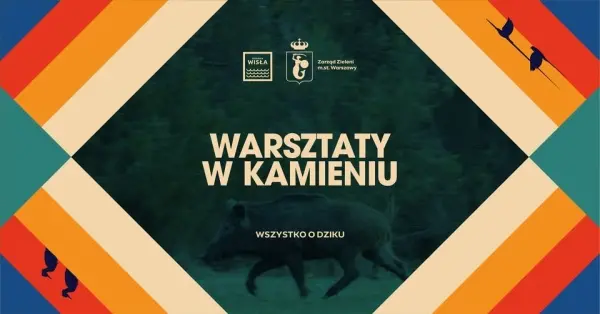 Warsztaty #wKamieniu | Wszystko o dziku