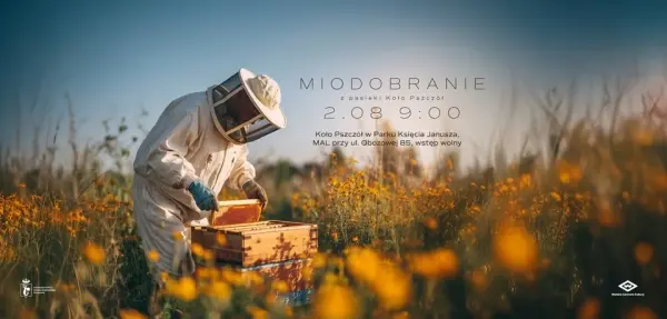 Miodobranie z pasieki Koło Pszczół!
