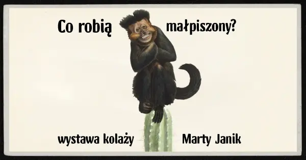 Co robią małpiszony?