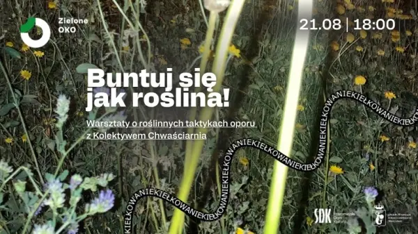 Buntuj się jak roślina! Warsztaty o roślinnych taktykach oporu z Kolektywem Chwaściarnia