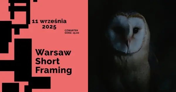 Warsaw Short Framing | Film krótkometrażowy (13+)