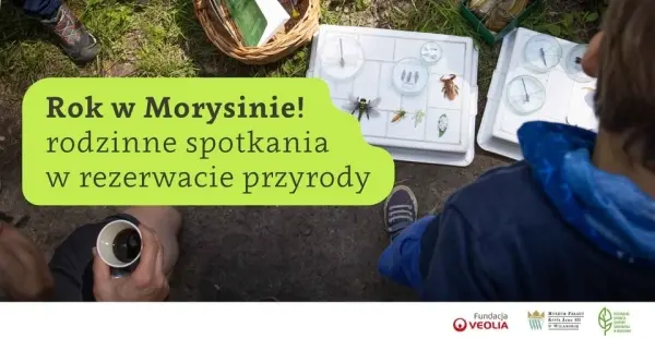 Rok w Morysinie! Rodzinne spotkania w rezerwacie przyrody