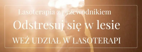 Zanurz się w lesie. Lasoterapia z przewodnikiem