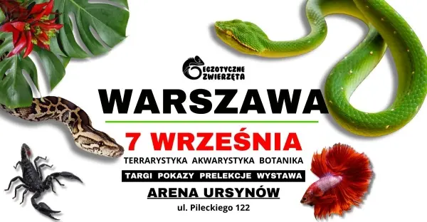 TERRARYSTYKA AKWARYSTYKA BOTANIKA i wiele więcej