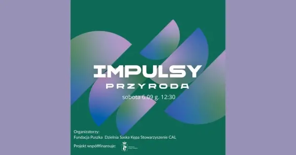 IMPULSY w Dzielni. Sobotnie granie z Fundacją Puszka