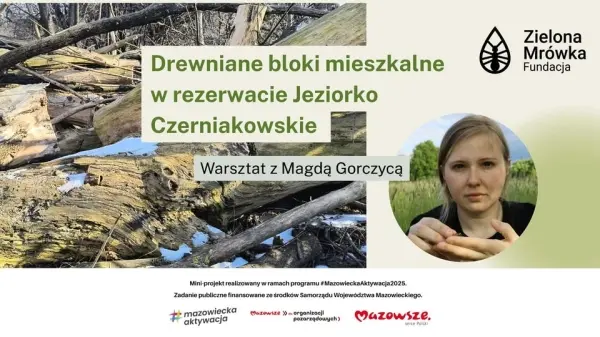 Drewniane bloki mieszkalne | Spacer i warsztat w rezerwacie Jeziorko Czerniakowskie