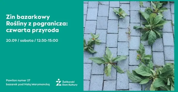 Zin bazarkowy – rośliny z pogranicza: czwarta przyroda | warsztaty na bazarku
