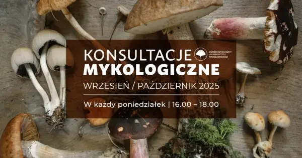 Konsultacje mykologiczne 2025
