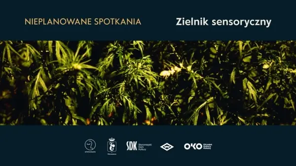 Zielnik sensoryczny