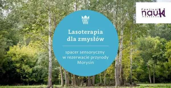 Lasoterapia dla zmysłów | spacer sensoryczny w rezerwacie przyrody Morysin
