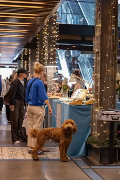 DESIGNER MARKET