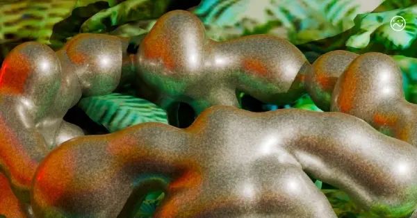Rave natury: Mycelium rave