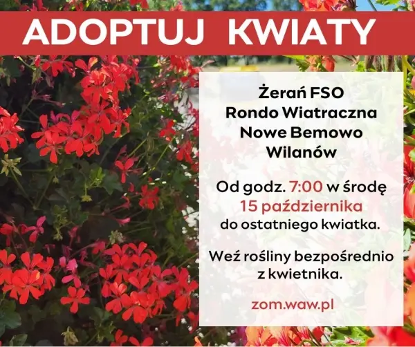Adoptuj kwiaty z pętli