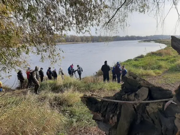 Spacer ornitologiczny - Wisła "wilanowska"