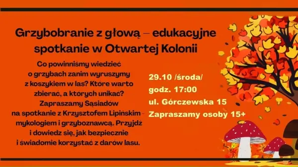 Grzybobranie z głową – edukacyjne spotkanie w Otwartej Kolonii