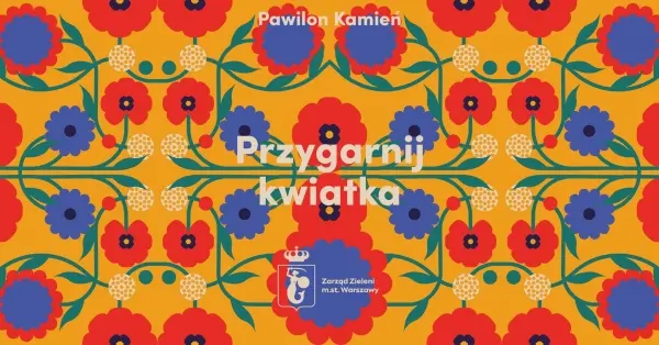 Przygarnij kwiatka w Kamieniu