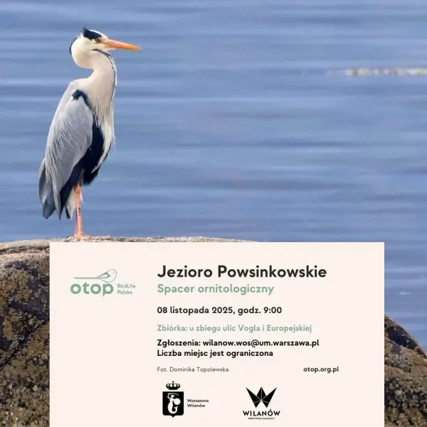 Spacer ornitologiczny - Jezioro Powsinkowskie