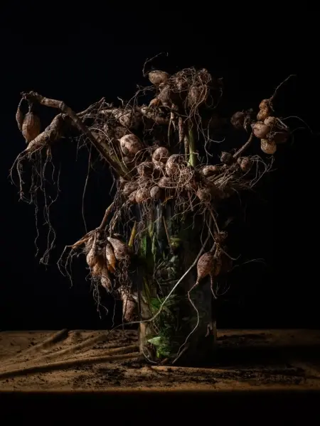 „Ostatnie kwiaty na ziemi” | wystawa Joanny Szpak-Ostachowskiej i spotkania autorskie