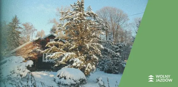 Oprowadzania po Wolnym Jazdowie | Edycja zimowa 