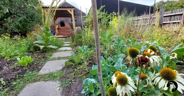 Zasiej ogród – spotkanie otwierające sezon Wspólnego Ogrodu