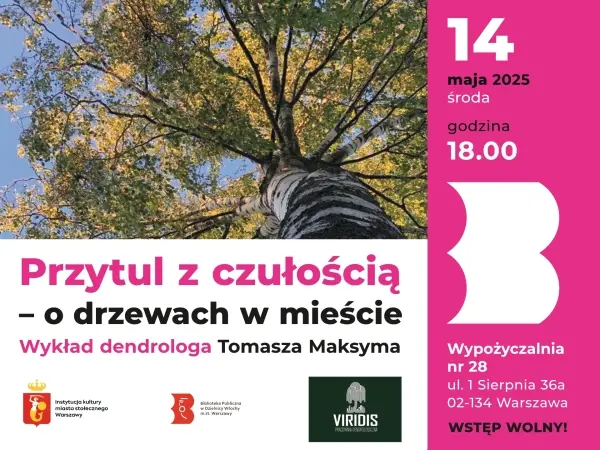 Przytul z czułością – o drzewach w mieście