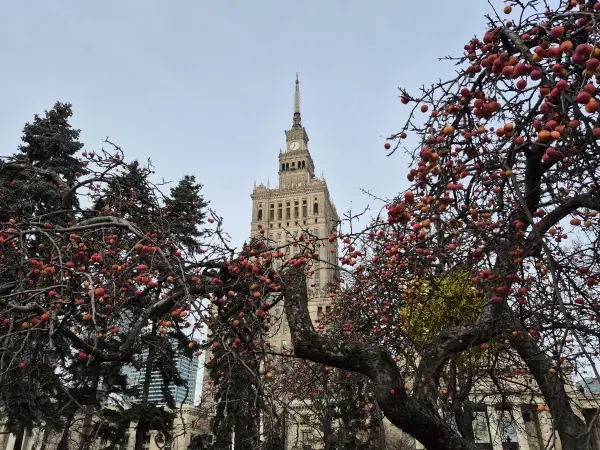 Plac Centralny i kolos w środku miasta. Wokół Pałacu Kultury i Nauki.