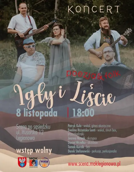 Koncert zespołu Igły i Liście